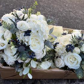 fwthumbwhite and navy.jpg